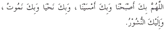 Image redimensionnée