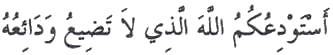 Image redimensionnée